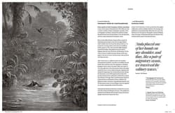 Galeria - zdjęcie nr. 3 - The Fantastic Gustave Dore wer. angielska