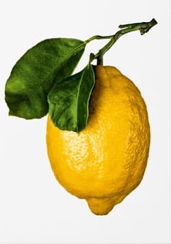 The Gourmand's Lemon wer. angielska - Opracowanie Zbiorowe