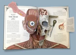 Galeria - zdjęcie nr. 2 - The Human Body. A Pop-Up Guide to Anatomy wer. angielska