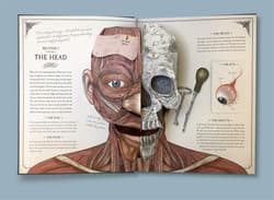 Galeria - zdjęcie nr. 3 - The Human Body. A Pop-Up Guide to Anatomy wer. angielska