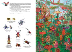 Galeria - zdjęcie nr. 2 - The Incredible 3D Bug Hunt wer. angielska