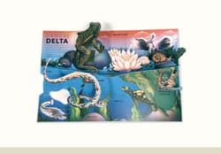 Galeria - zdjęcie nr. 4 - The Incredible Pop-up Frog