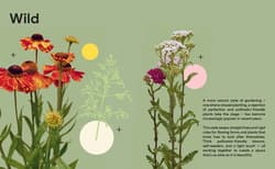 Galeria - zdjęcie nr. 2 - The Instant Garden