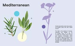 Galeria - zdjęcie nr. 4 - The Instant Garden