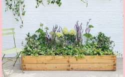 Galeria - zdjęcie nr. 3 - The Instant Garden