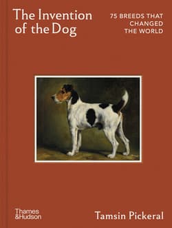 The Invention of the Dog - Christine Berrie