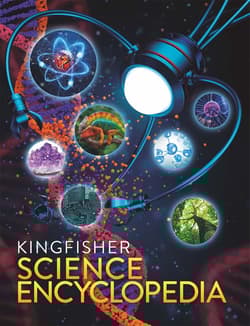 The Kingfisher Science Encyclopedia - Kingfisher (individual)