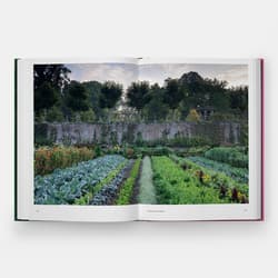 Galeria - zdjęcie nr. 2 - The Kitchen Garden