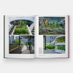 Galeria - zdjęcie nr. 4 - The Kitchen Garden