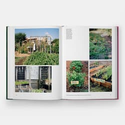 Galeria - zdjęcie nr. 2 - The Kitchen Garden