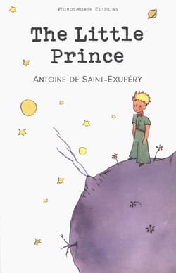 Galeria - zdjęcie nr. 2 - The Little Prince