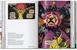 Galeria - zdjęcie nr. 3 - The Marvel Age of Comics 1961-1978. 40th Ed. wer. angielska