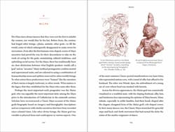 Galeria - zdjęcie nr. 5 - The Maya Myths