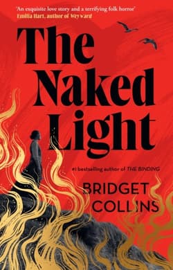 The Naked Light - Collins Bridget