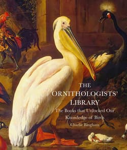 The Ornithologists' Library - Charlie Bingham