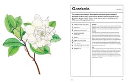 Galeria - zdjęcie nr. 5 - The Picking Garden