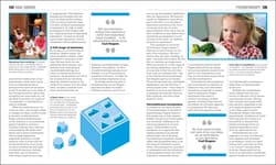 Galeria - zdjęcie nr. 3 - The Psychology Book. Big Ideas Simply Explained wer. angielska