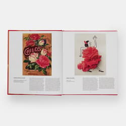 Galeria - zdjęcie nr. 5 - The Rose Book wer. angielska