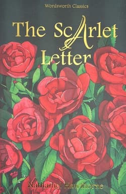 The Scarlet Letter - Hawthorne  Nathaniel