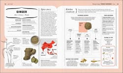 Galeria - zdjęcie nr. 2 - The Science of Spice. Understand Flavour Connections and Revolutionize your Cooking wer. angielska