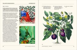 Galeria - zdjęcie nr. 2 - The Secret Language of Plants