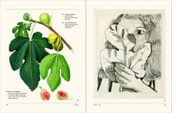 Galeria - zdjęcie nr. 5 - The Secret Language of Plants