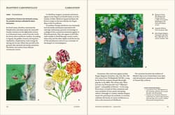 Galeria - zdjęcie nr. 3 - The Secret Language of Plants