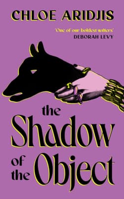 The Shadow of the Object - Chloe Aridjis