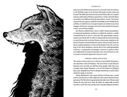 Galeria - zdjęcie nr. 5 - The Slavic Myths wer. angielska