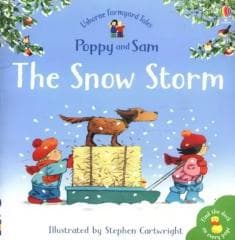 The Snow Storm - Heather Amery