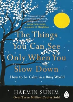 The Things You Can See Only When You Slow Down wer. angielska - Sunim Haemin