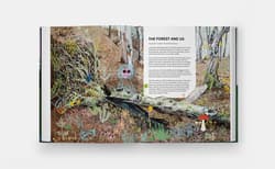 Galeria - zdjęcie nr. 3 - The Tomorrow Tree. How Nature Creates New Life From Old