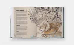 Galeria - zdjęcie nr. 4 - The Tomorrow Tree. How Nature Creates New Life From Old