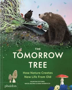 The Tomorrow Tree. How Nature Creates New Life From Old - Maciej Michno