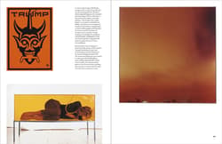 Galeria - zdjęcie nr. 5 - The V&A Book of Colour in Design wer. angielska