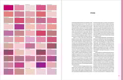 Galeria - zdjęcie nr. 4 - The V&A Book of Colour in Design wer. angielska