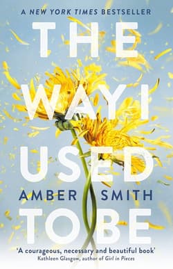 The Way I Used To Be - Amber Smith