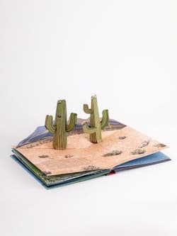 Galeria - zdjęcie nr. 2 - The Weather. Pop-up Book wer. angielska