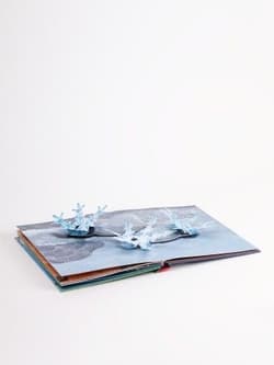 Galeria - zdjęcie nr. 3 - The Weather. Pop-up Book wer. angielska