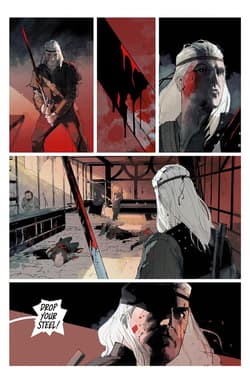 Galeria - zdjęcie nr. 5 - The Witcher. Graphic Novel