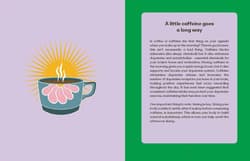 Galeria - zdjęcie nr. 3 - This Book Will Give You Energy