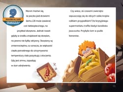 Galeria - zdjęcie nr. 2 - Timmi Tobbson Młodzi poszukiwacze Świąteczna tajemnica