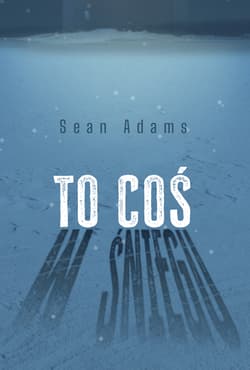 To coś w śniegu - Sean Adams