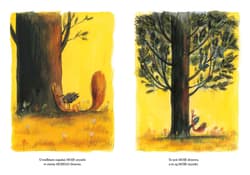 Galeria - zdjęcie nr. 3 - To jest moje drzewo