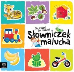 To mam To znam Słowniczek malucha - Sylwia Kajdana
