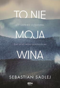 To nie moja wina - Sebastian Sadlej
