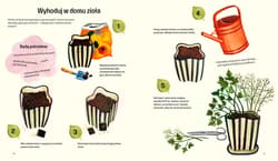 Galeria - zdjęcie nr. 2 - To pestka! Czyli ogrodnictwo dla dzieci