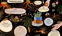 Galeria - zdjęcie nr. 4 - To pestka! Czyli ogrodnictwo dla dzieci