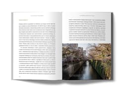 Galeria - zdjęcie nr. 4 - Tokio między pałeczkami. Stolica Japonii poza szlakiem.