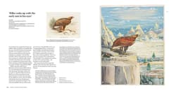 Galeria - zdjęcie nr. 4 - Tolkien. Maker of Middle–earth